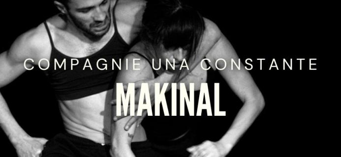 una constante makinal